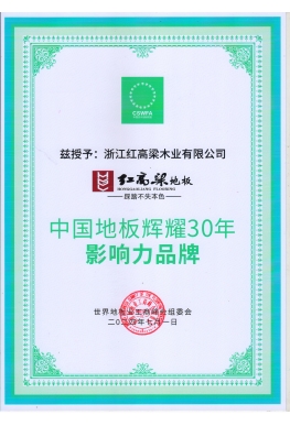 影响力品牌